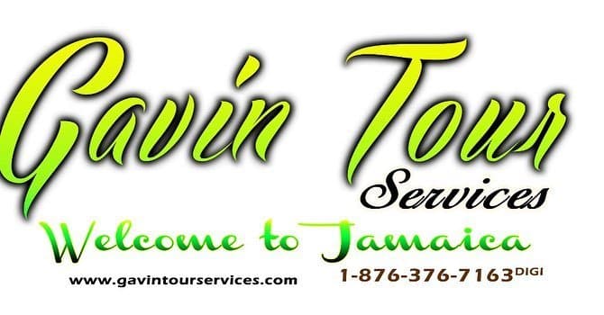 Book-today; Shore Excursion, Group /Privatize Tours, Airport Transfers & Car Rentals. Call-Now. Tel 1876 376-7163 /What’s App, iMessages📧 gavinpalmer@live.com.
