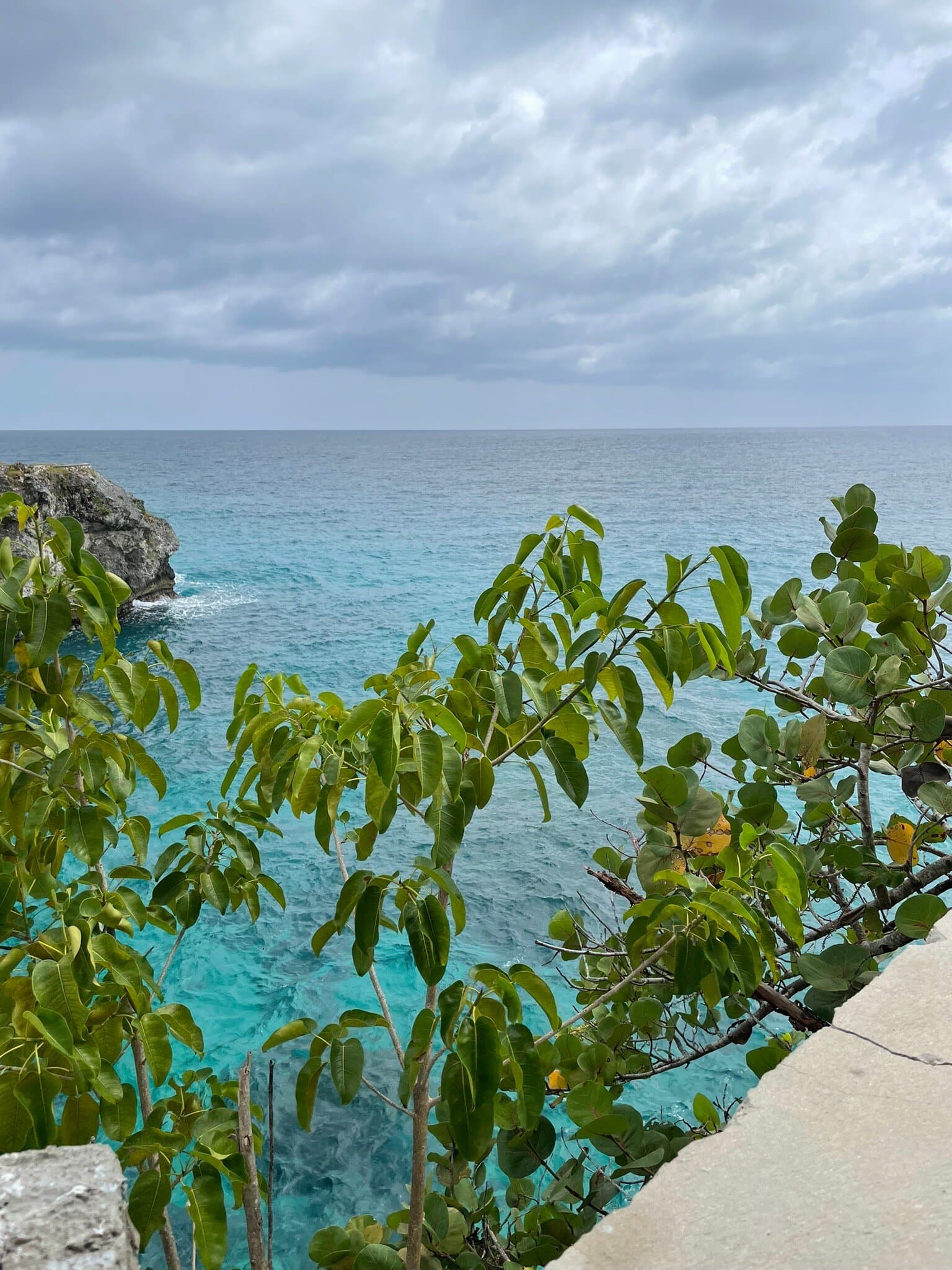 LTU Cliff Bar & Restaurant at TripAdvisor