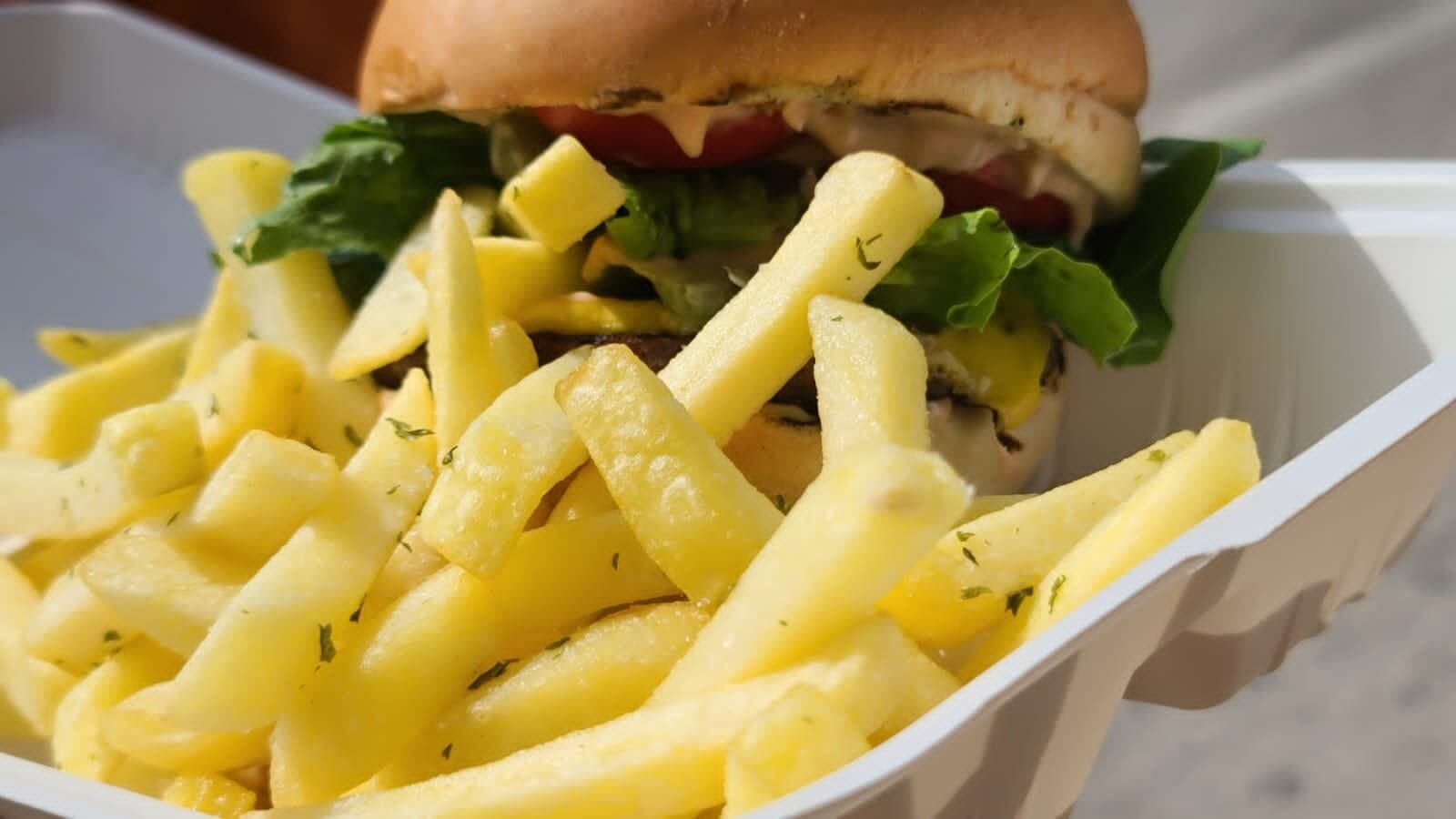 Double Cheese Burger & Fries