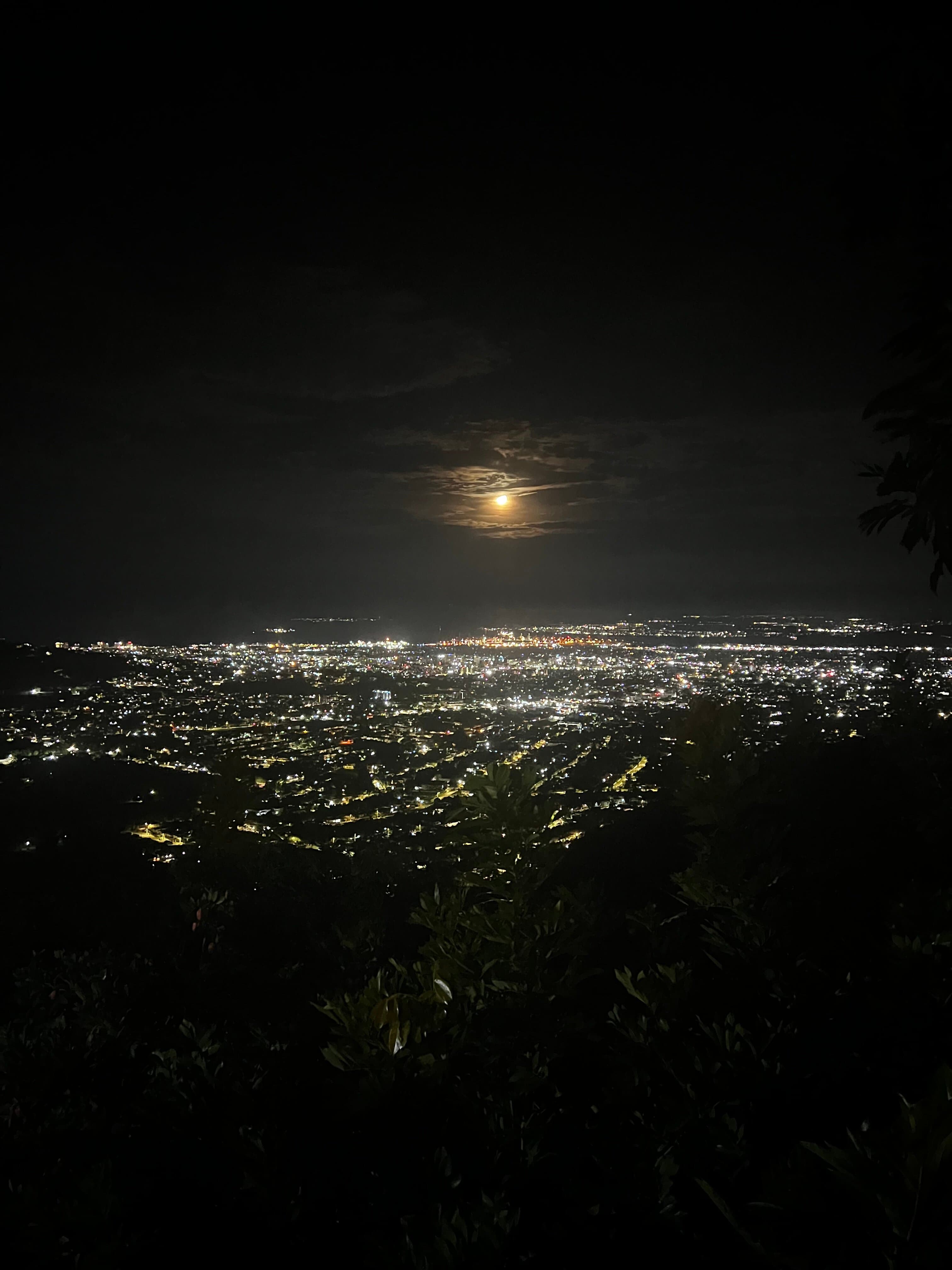 Kingston nights