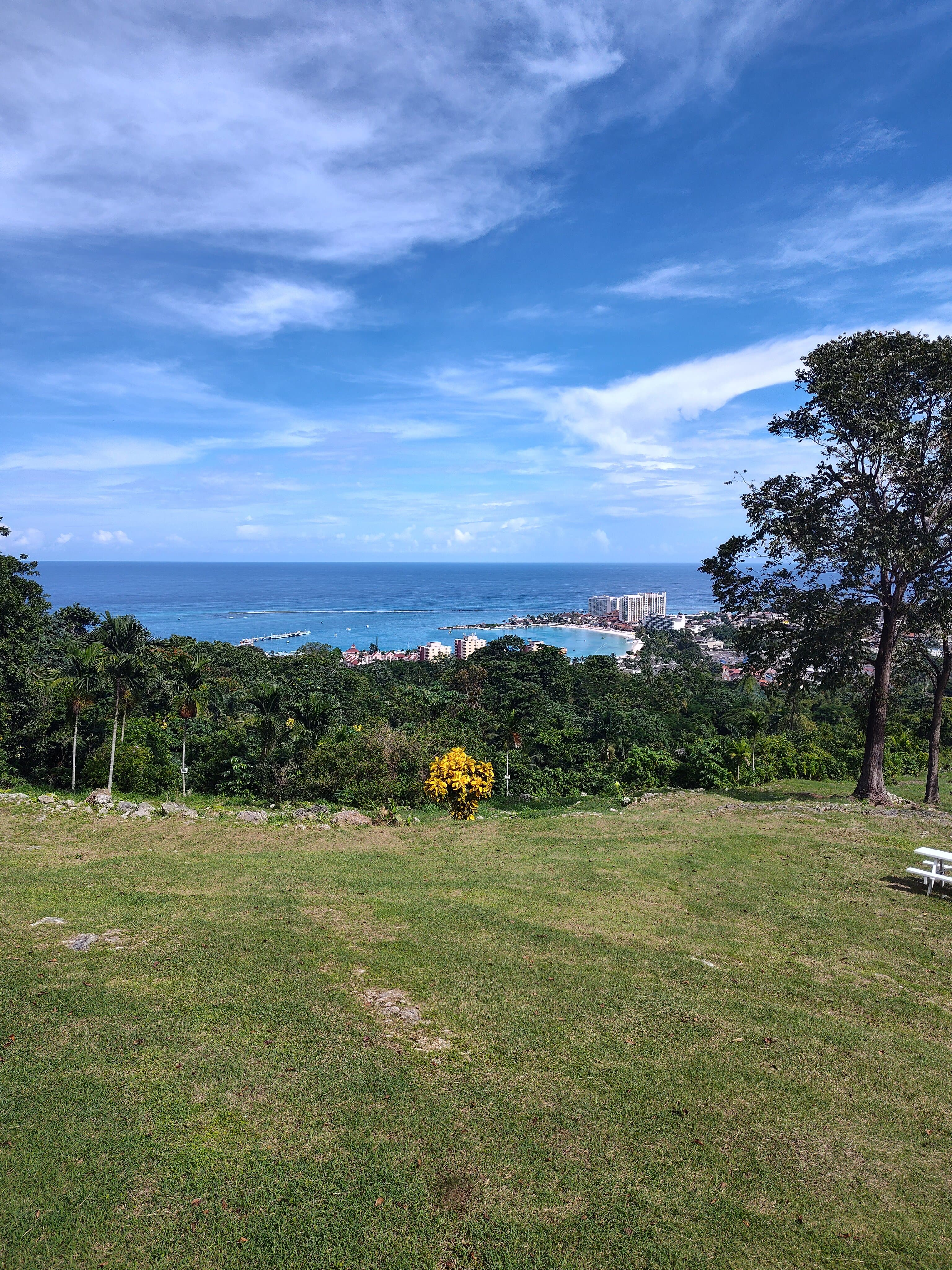 Roots Tour Jamaica at TripAdvisor