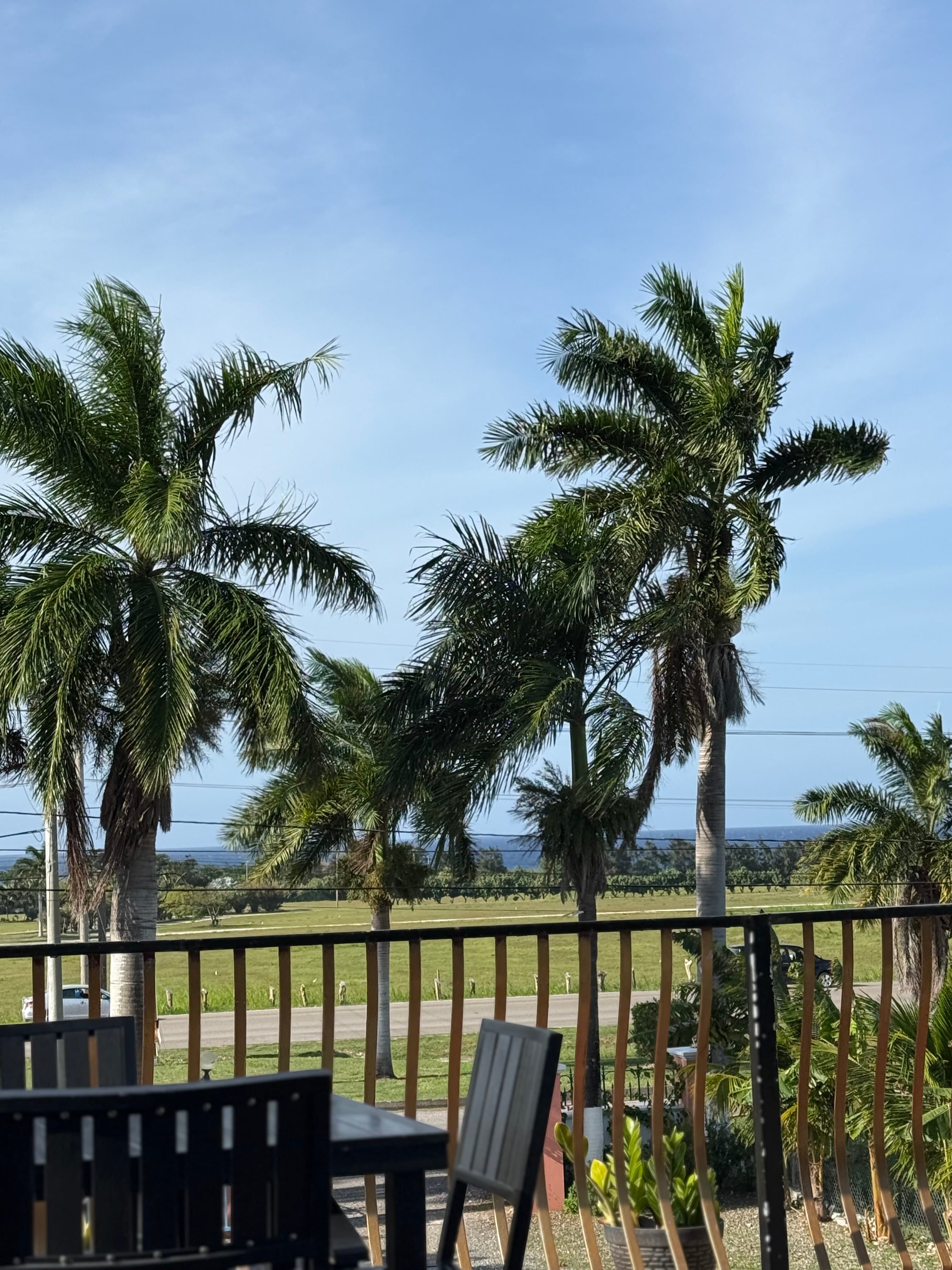 Starliner Seafood Wine-Bar And Grill at TripAdvisor
