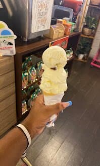 Rum N Raisin Icecream