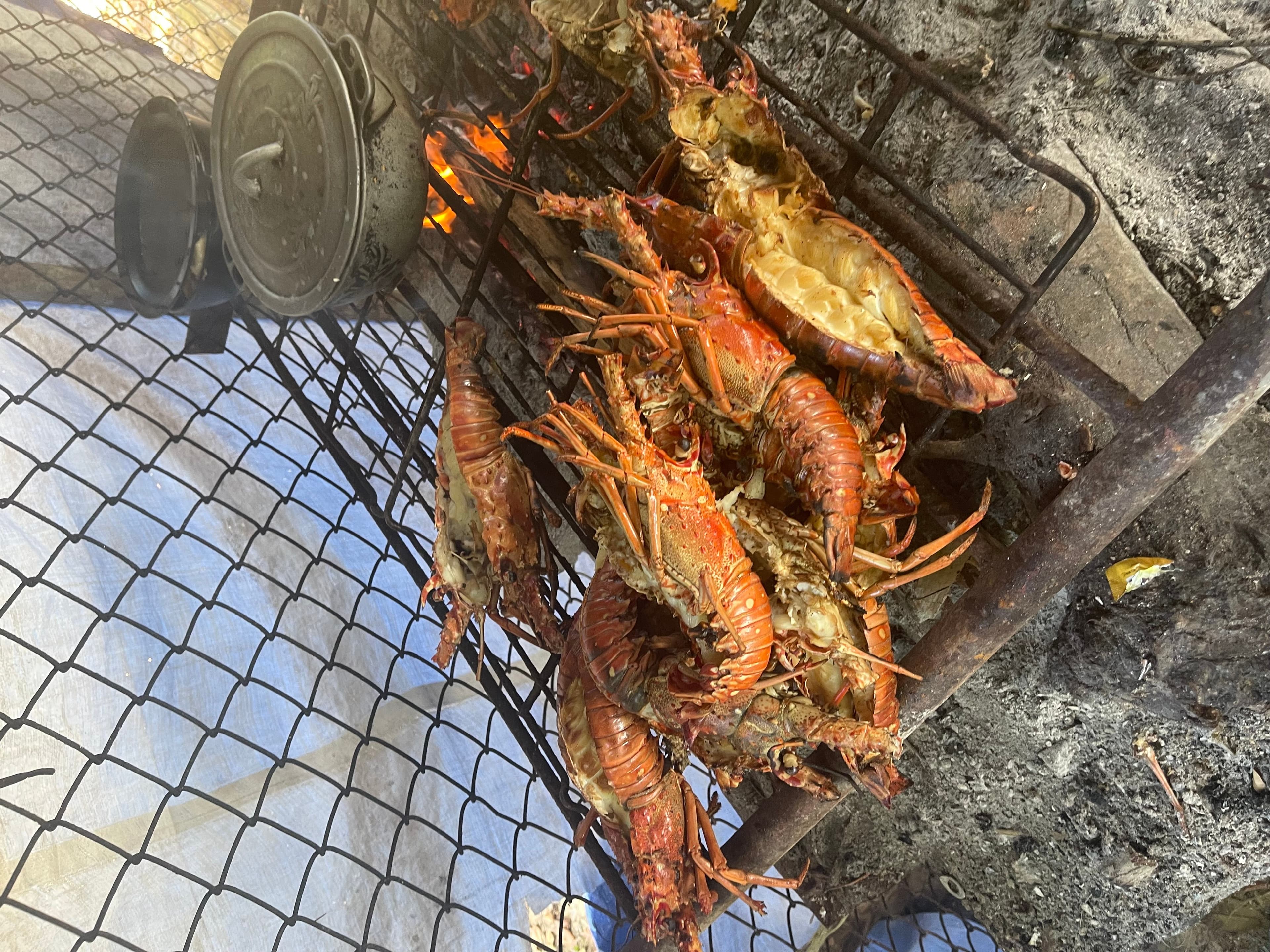Wayne's Lobster Place at TripAdvisor