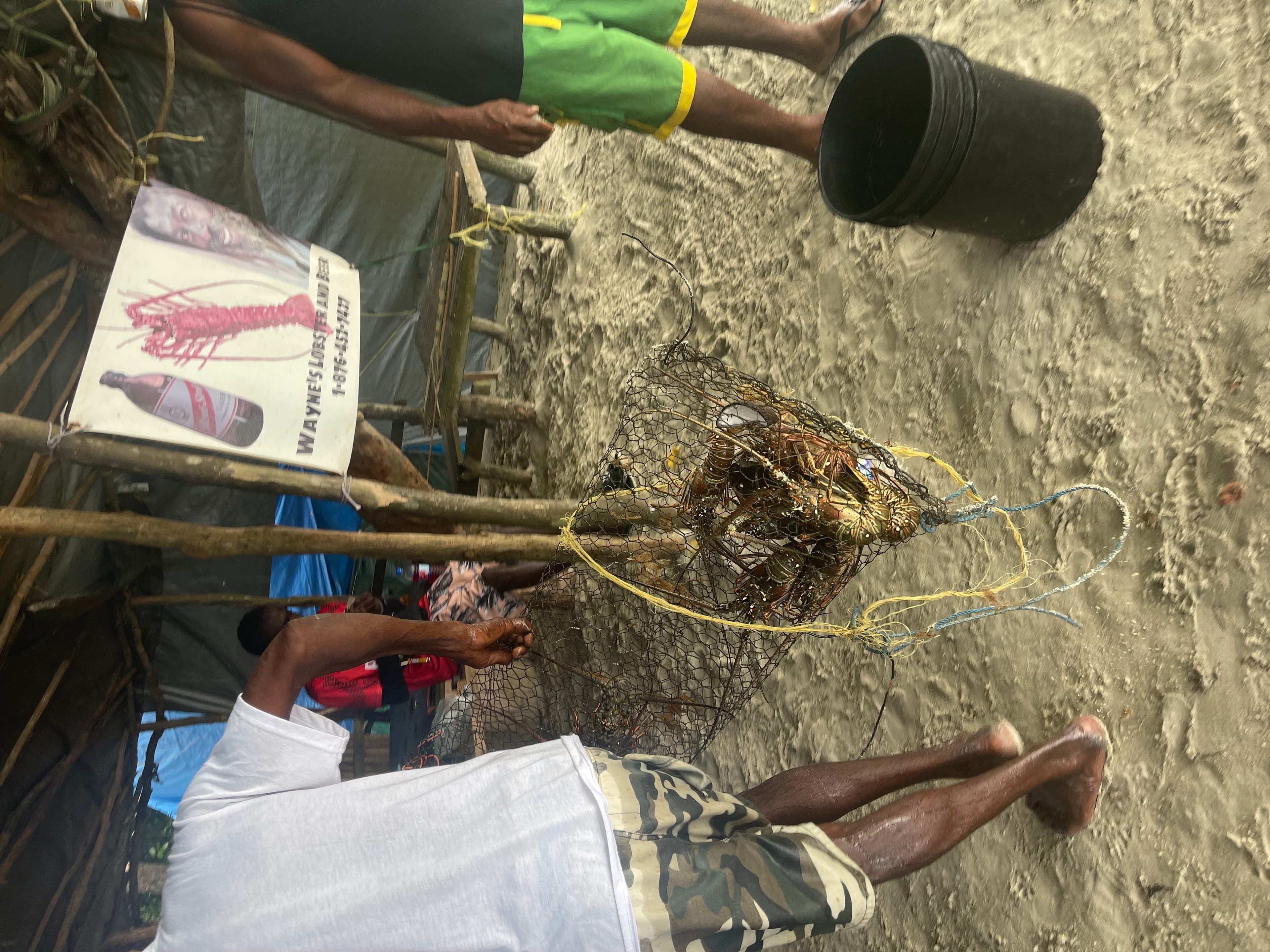Wayne's Lobster Place at TripAdvisor