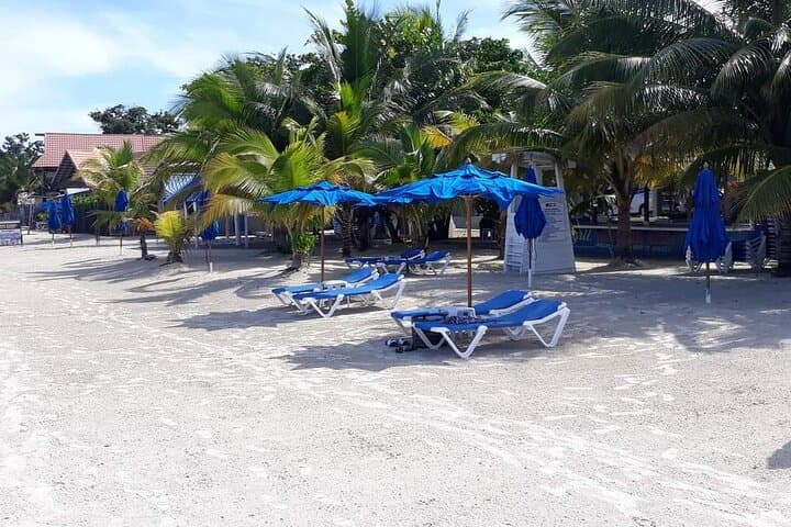 Negril 7 Miles Beach and Rick's Cafe Tour