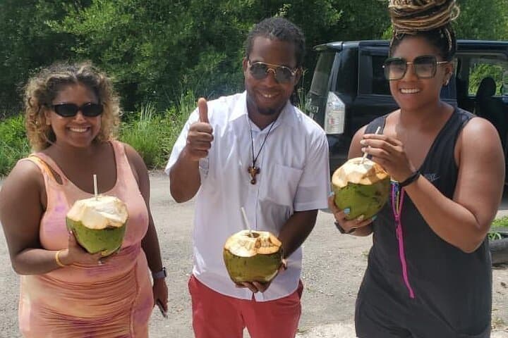 Enjoy a cool jelly coconut stop