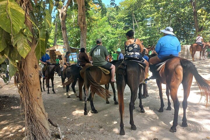 Horse Back Riding in Ocho Rios