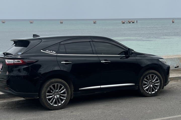 Luxury VIP Private Transfer to Princess Hotels and Resorts